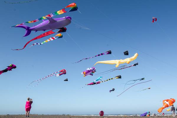 The Long Beach WA International Kite Festival woman photographing kites in flight