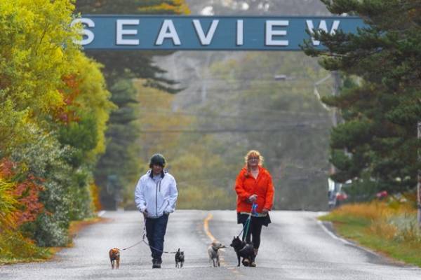 Seaview Washington beach approach