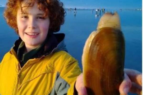Boy Holding a Clam at the Beach
