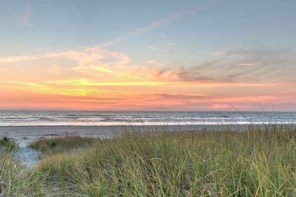 Ocean and dune grass view 