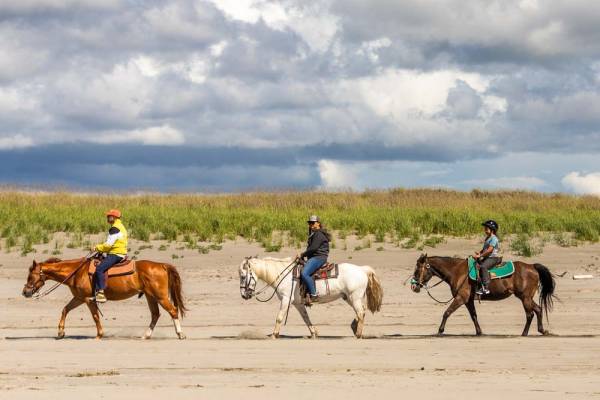 Ride Horses on the Worlds Longest Beach Horseback riding Long Beach WA