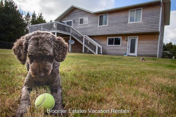 Photo of dog with a ball