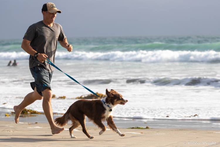 Man running a dog on the beach