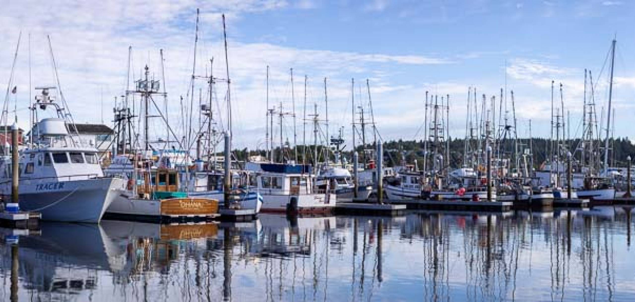 Port of Ilwaco with its many fishing boats and ships Port of Ilwaco Washington
