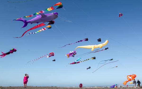 Long Beach Washigton International Kite Festival Kites flying at the Long Beach International Kite Fesival