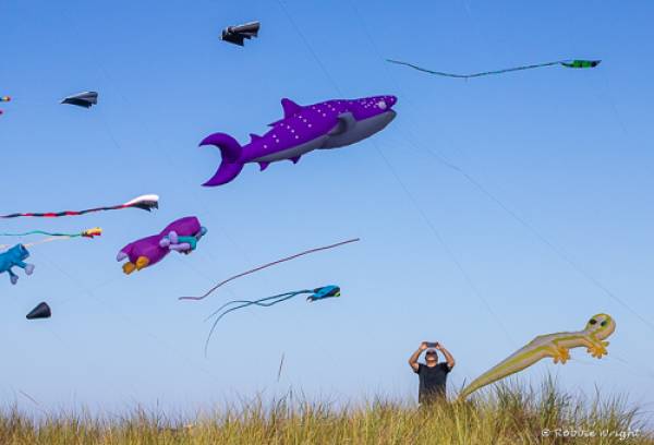 People love the International Kite Festival in Long Beach, WA person photographing kites in Long Beach, WA