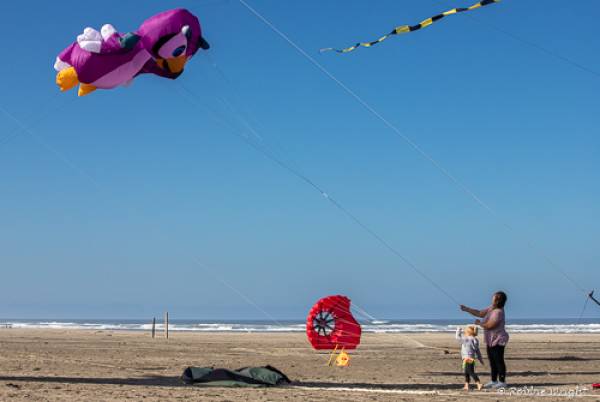 The International Kite Festival is a huge draw for people from around the world kids and adult flying kites in Long Beach Wa