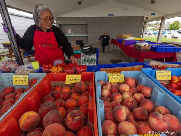 The Port of Ilwaco, WA Saturday market has something for everyone. Vendor at the Port of Ilwaco Saturday market