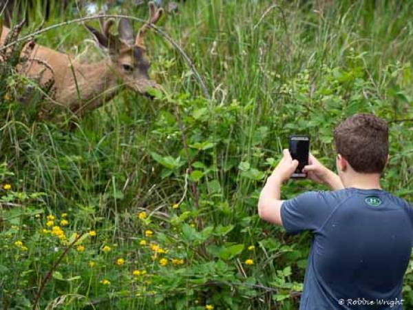 Photographers visit Long Beach Wa for the wildlife and natuaral landscapes Boy photographing a deer at close range