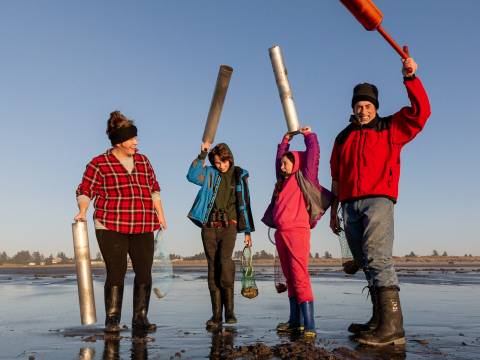 Family of four enjoys a fun day clamming