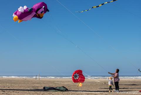 Family flying Kites