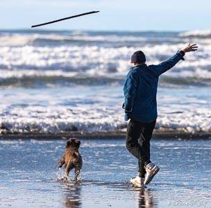 Bring your pet to the beach Boy throwing a stick in the water for a dog