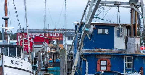 Fishing at the Port of Ilwaco Port of Ilwaco Washington Boats