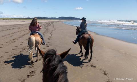 Riding horses on the beach Horseback riding Long Beach Washington