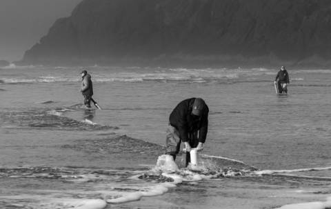 Clam Digging on the Long Beach Peninsula