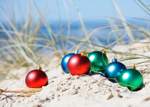 Crab Pot Christmas 