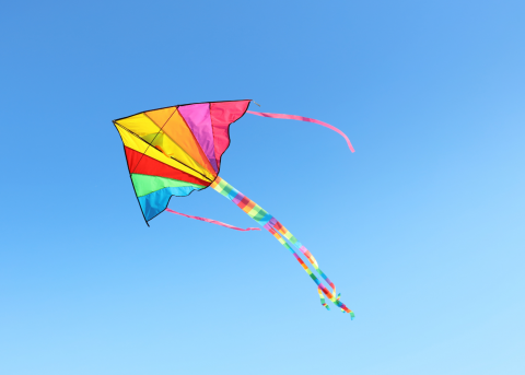 One Sky One World International Fun Fly 