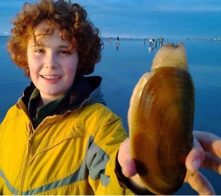Boy holding a razor clam in Ocean Park WA