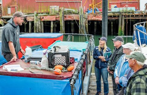 Discover Oregon Seafood Tours in WA
