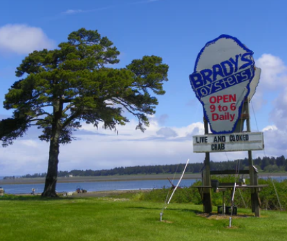 Fresh seafood Brady's oysters