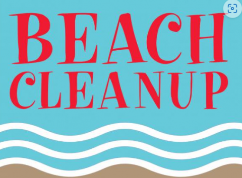 Clean the beach Beach cleanup