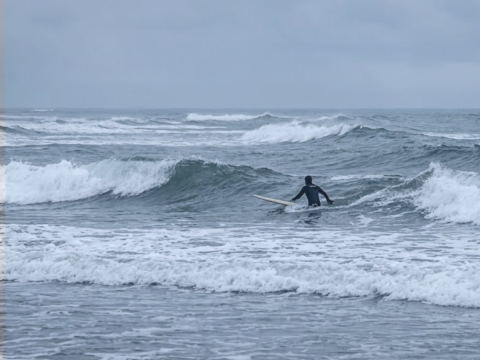 Surfing in Westport, WA