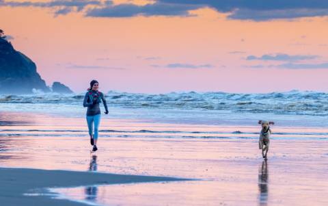 Fun running your dog at the beach woman runing on the beach at sunset with her dog