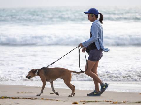 Enjoy the long sandy beach at Long Beach WA woman walking her dog on the beach