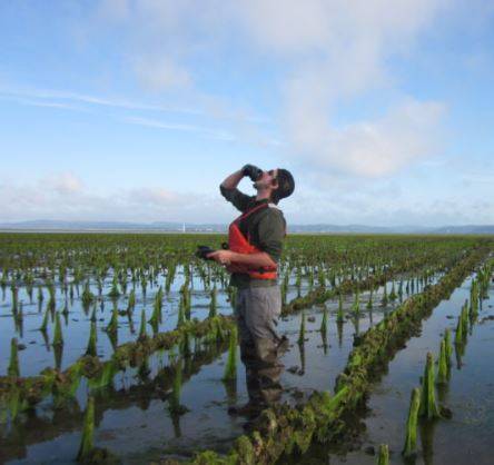 Ekone Oyster Company