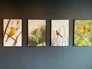 Jace Walker Gallery Bird Photos