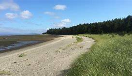 Leadbetter point in Oysterville washington is a great place to see the local wildlife. Leadbetter Point State Park in Oysterville Washington