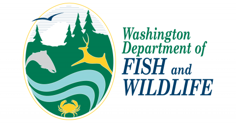 Purchase your license at a local authorized WDFW dealer Washington Department of Fish and Wildlife Log