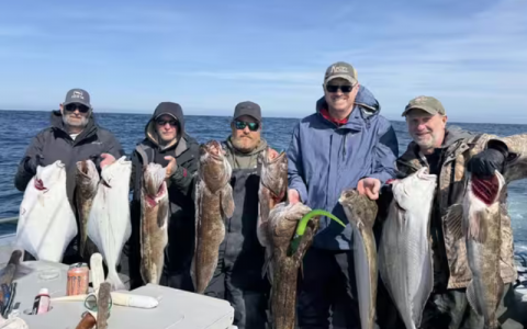 Fishing in Westport