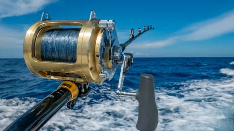 Fishing rod in the water Brass Reel in the water