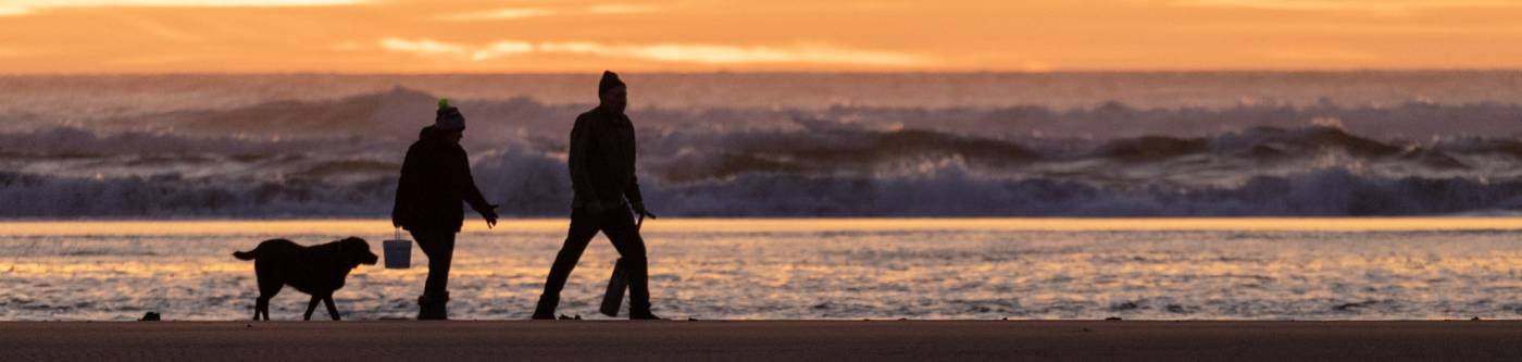 Couple and Dog Search for clams on the Long Beach Peninsula 