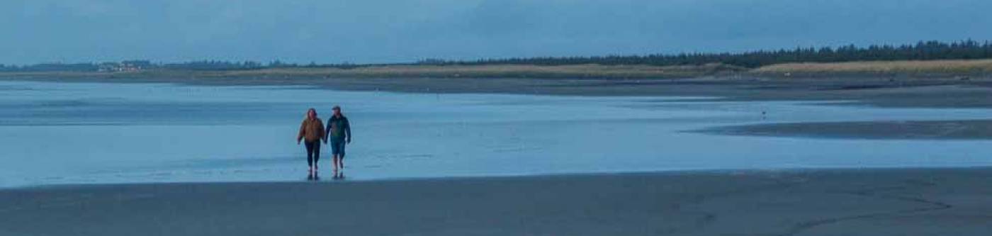 Couple walking on the beach after sunset