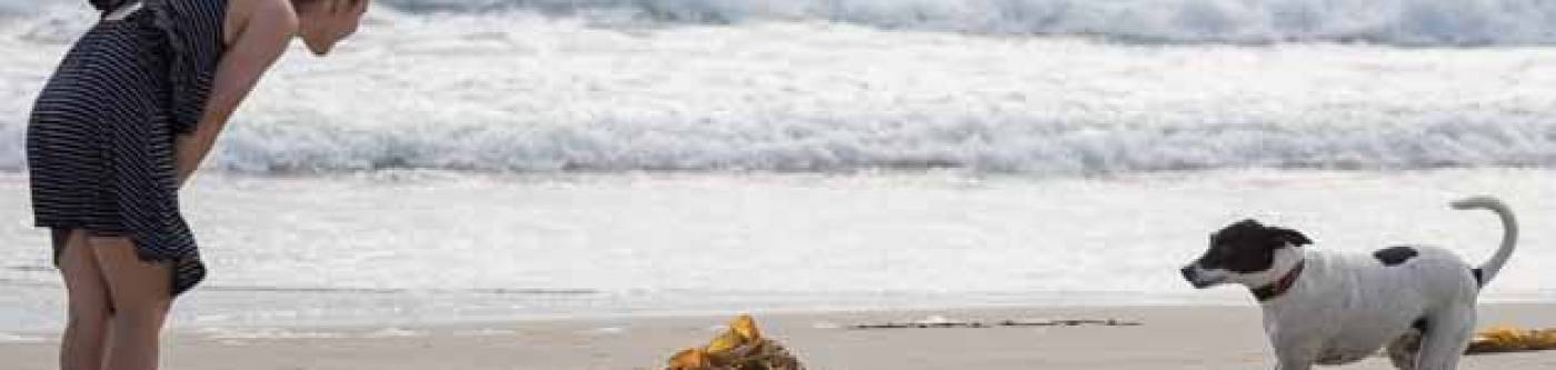 Woman with a dog on the beach in Long Beach, Washington