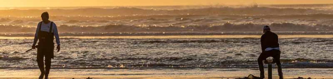 Clamdiggers at sunset in Long Beach Washington