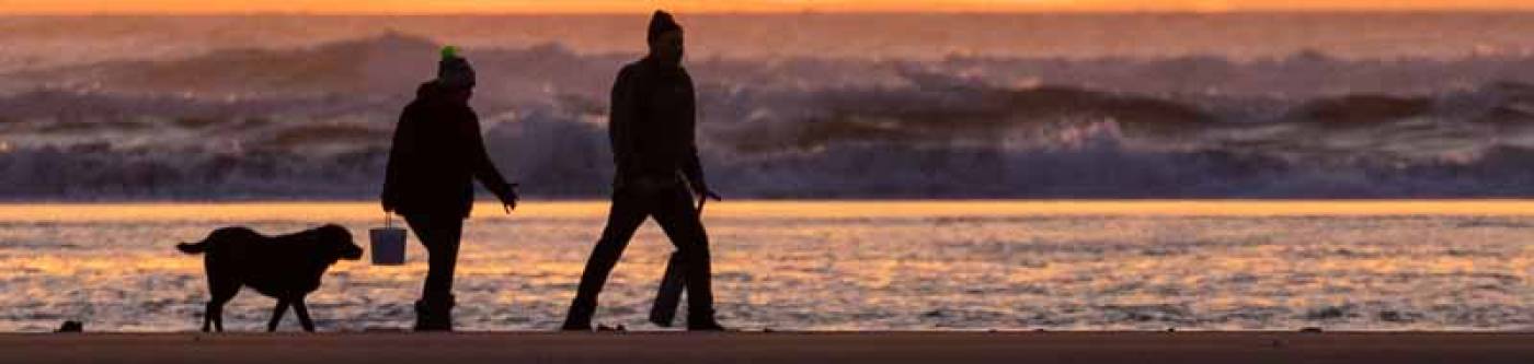 Two people walking at sunset with dog and clam guns