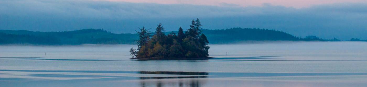 Baby Island in Willapa Bay