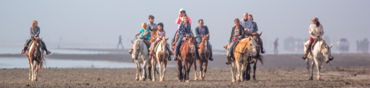 Horseback riding on the beach in Long Beach, Washington Coast