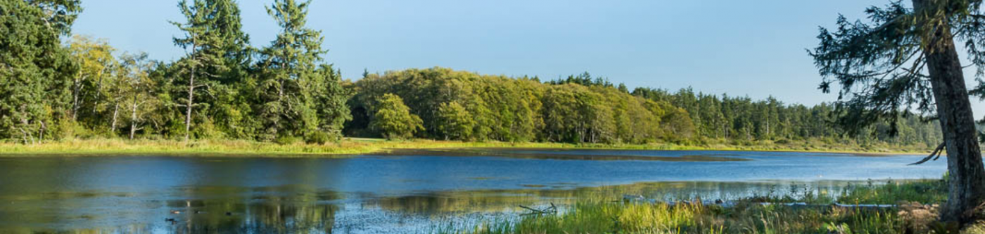 Loomis Lake | View from Lakehouse | Managed by Bloomer Estates