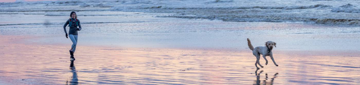 Woman running with her dog at sunset on the beach